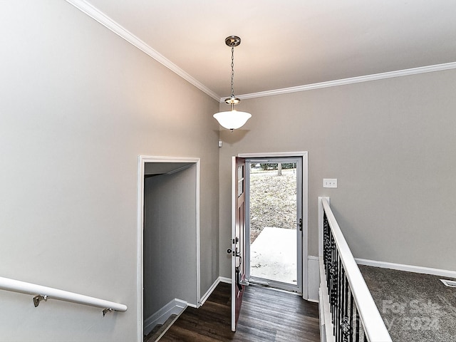 entryway featuring dark hardwood / wood-style flooring and crown molding