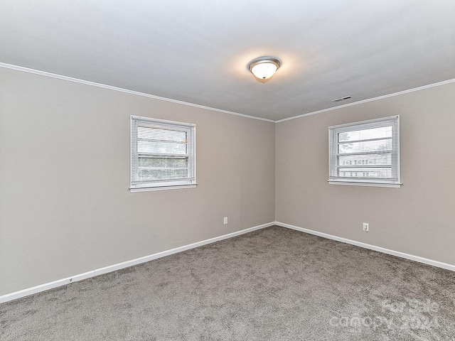 spare room featuring carpet, a wealth of natural light, and crown molding