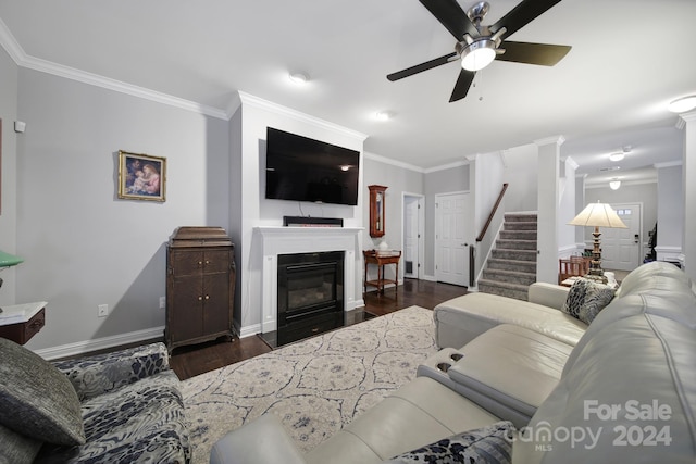 living room featuring crown molding, ceiling fan, and dark wood-type flooring