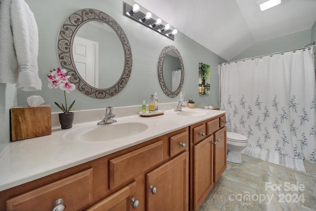 bathroom with vanity, vaulted ceiling, and toilet