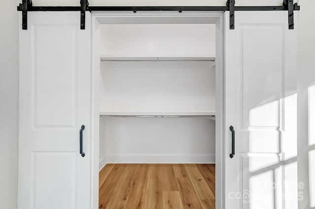 view of closet