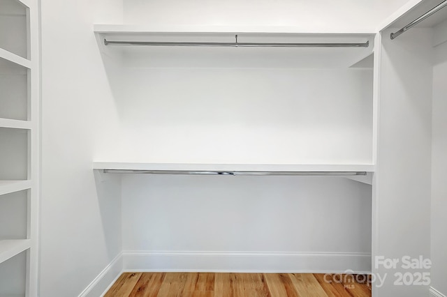 spacious closet with wood-type flooring