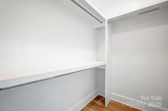 walk in closet with hardwood / wood-style flooring