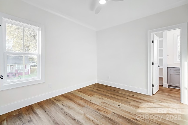 spare room with ceiling fan and light hardwood / wood-style floors