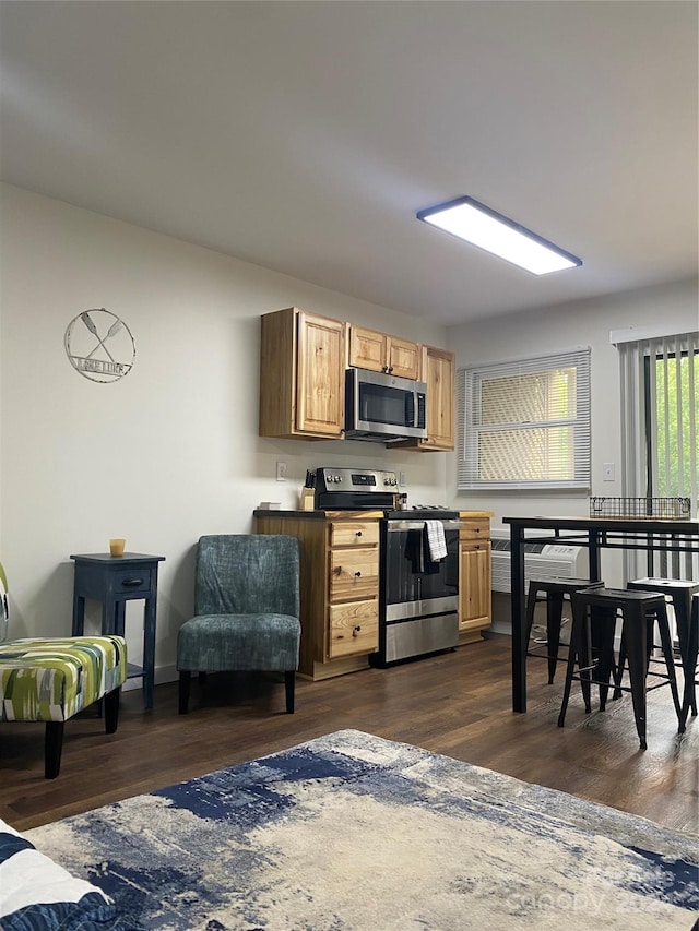 kitchen featuring light brown cabinets, stainless steel appliances, and dark hardwood / wood-style floors