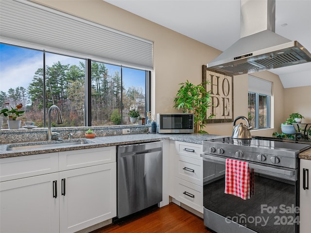 kitchen featuring white cabinetry, sink, dark wood-type flooring, island range hood, and appliances with stainless steel finishes