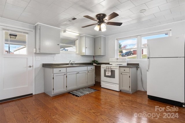 kitchen featuring wood-type flooring, white appliances, and a wealth of natural light