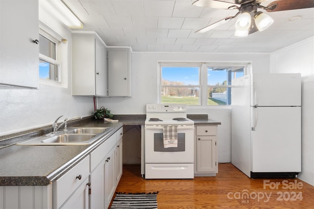 kitchen with white appliances, ceiling fan, crown molding, sink, and light hardwood / wood-style floors