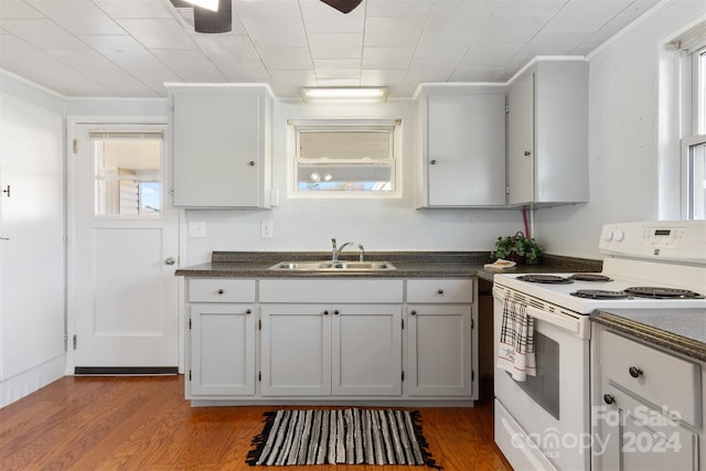 kitchen featuring wood-type flooring, white range with electric stovetop, and plenty of natural light