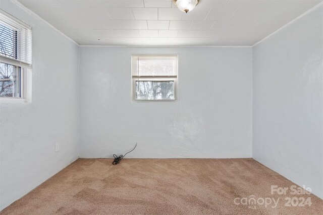 empty room with carpet and crown molding