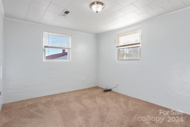 carpeted spare room with ornamental molding