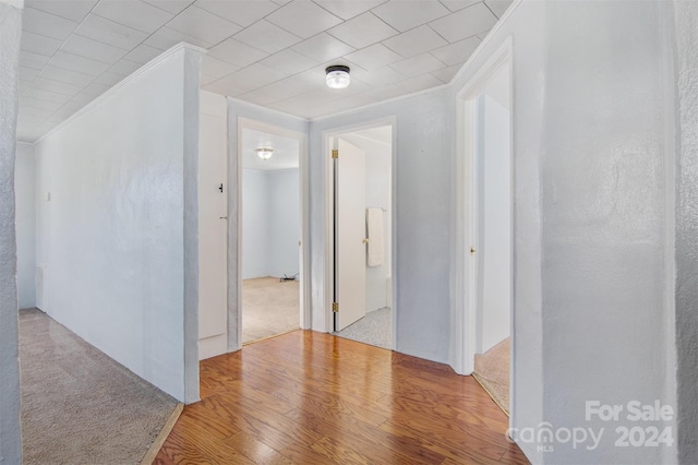 hall with light hardwood / wood-style flooring and crown molding