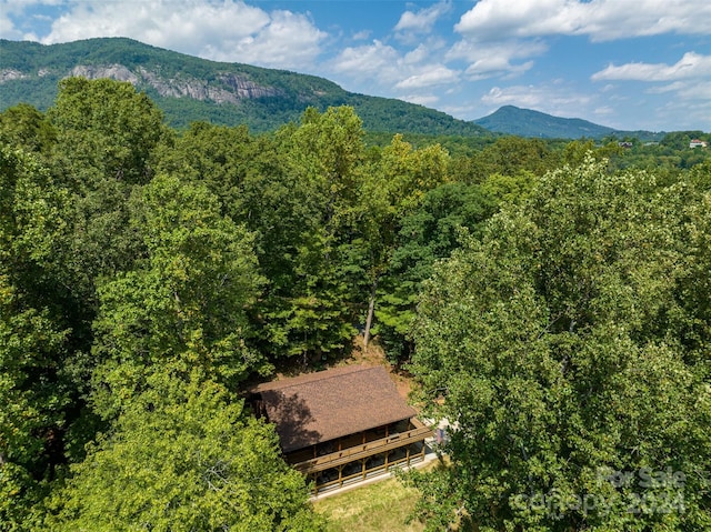 229 Seton Rd, Lake Lure, NC 28746 - mountain view with a forest