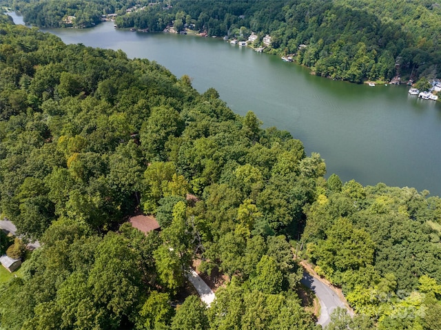 229 Seton Rd, Lake Lure, NC 28746 - aerial overview of property's location featuring a forest and a large body of water