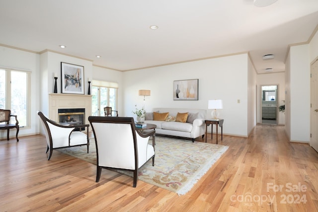 living room featuring ornamental molding and light hardwood / wood-style flooring