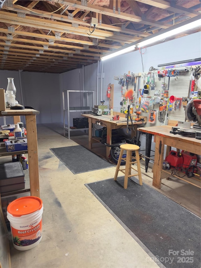 basement featuring a workshop area