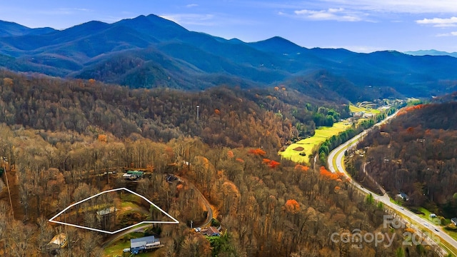 view of mountain feature