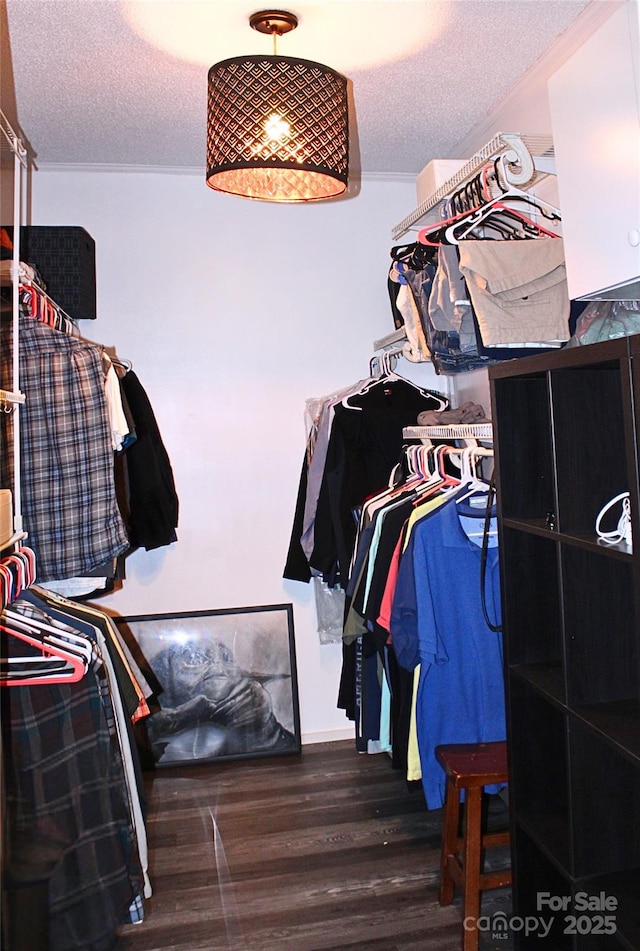 walk in closet featuring wood finished floors