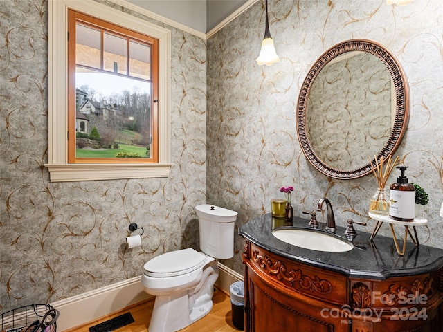 bathroom with hardwood / wood-style flooring, vanity, toilet, and ornamental molding