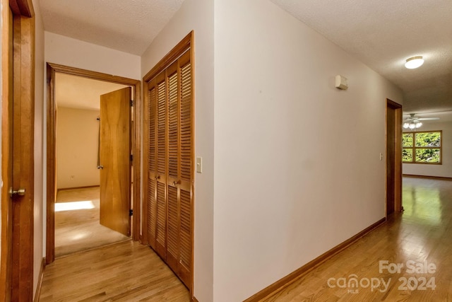 hallway with a textured ceiling and light hardwood / wood-style flooring