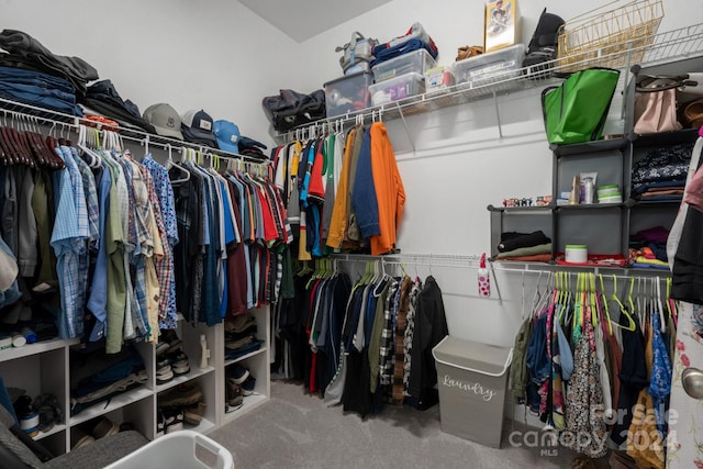 spacious closet with carpet flooring