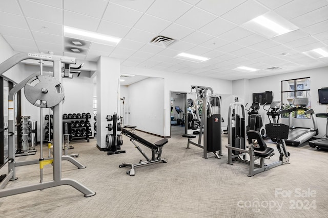 workout area with carpet and a drop ceiling