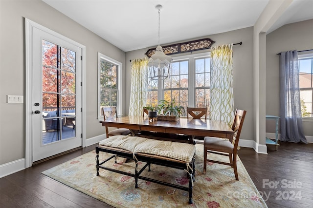 dining area featuring plenty of natural light and dark hardwood / wood-style flooring