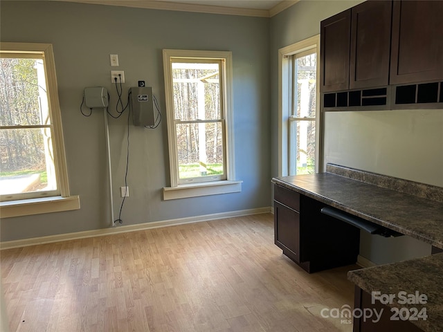 interior space featuring light hardwood / wood-style flooring, plenty of natural light, and ornamental molding