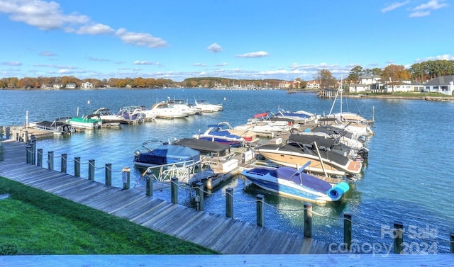 dock area featuring a water view