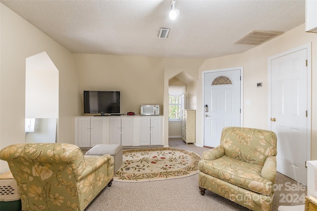 carpeted living room featuring a textured ceiling