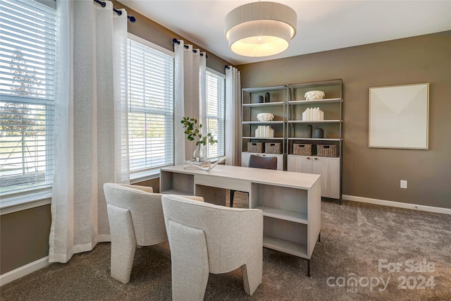 dining room with plenty of natural light and dark colored carpet