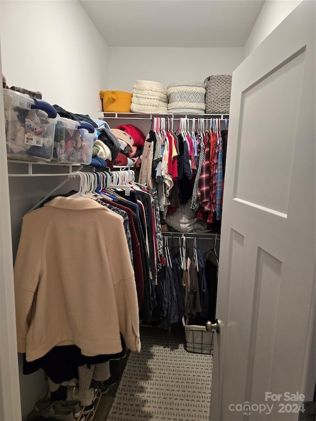 view of walk in closet