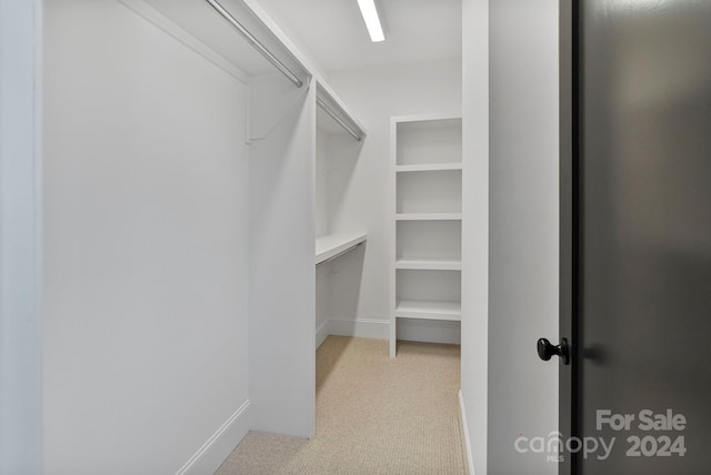 spacious closet with light carpet