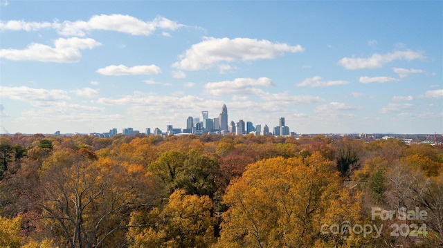 view of city