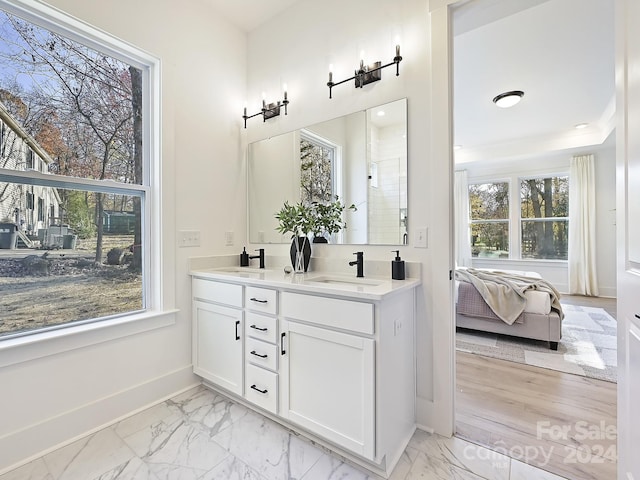 bathroom featuring plenty of natural light and vanity