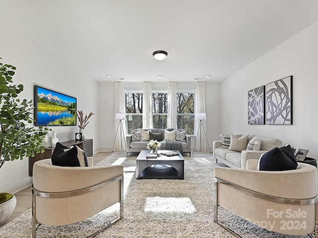 living room featuring wood-type flooring