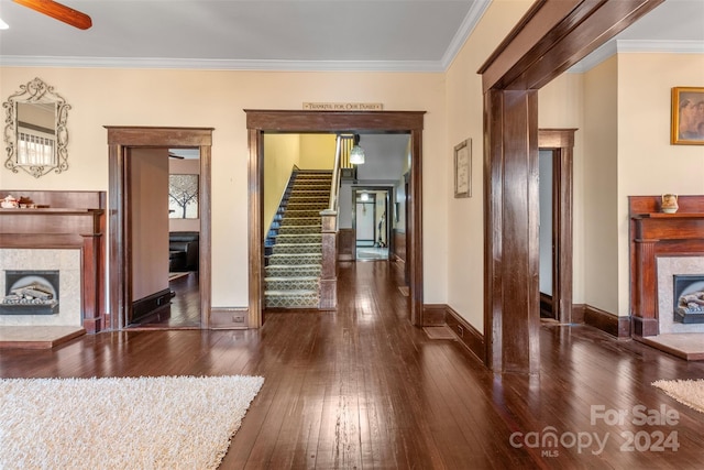 living room with dark hardwood / wood-style floors, ceiling fan, and ornamental molding