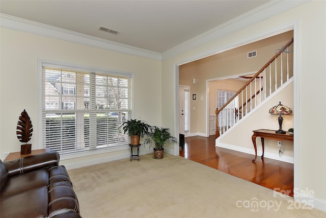 living area featuring ornamental molding and carpet floors