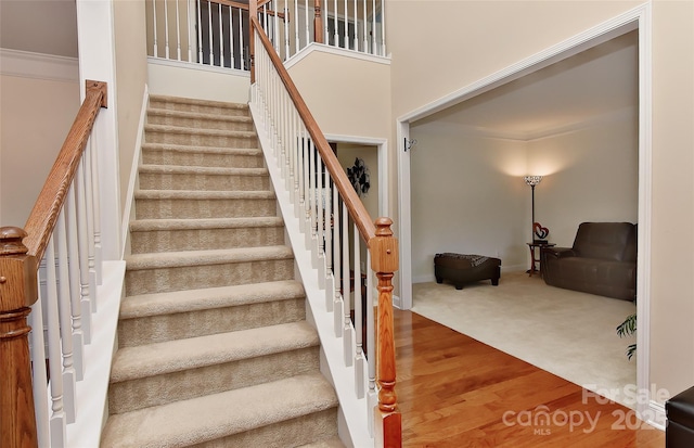 staircase featuring wood-type flooring and crown molding