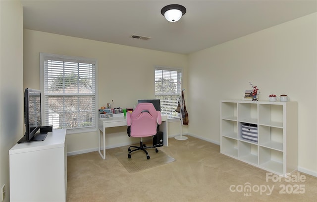 carpeted office space featuring a healthy amount of sunlight