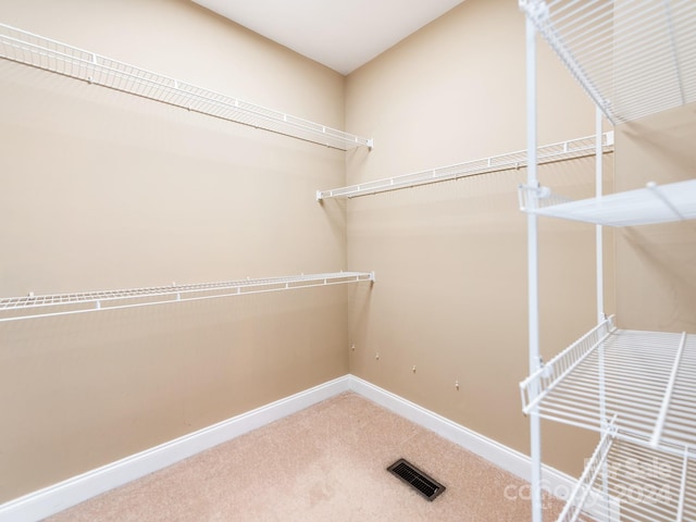 spacious closet with carpet floors