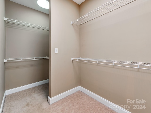 spacious closet with carpet