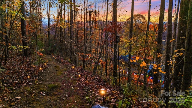 view of nature at dusk