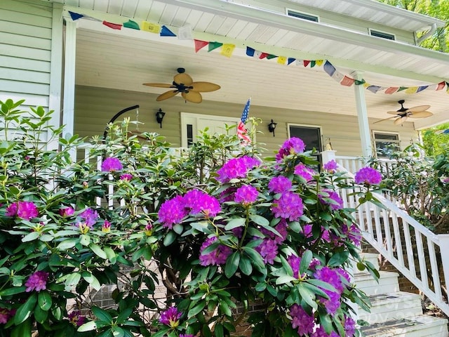 view of patio / terrace featuring ceiling fan