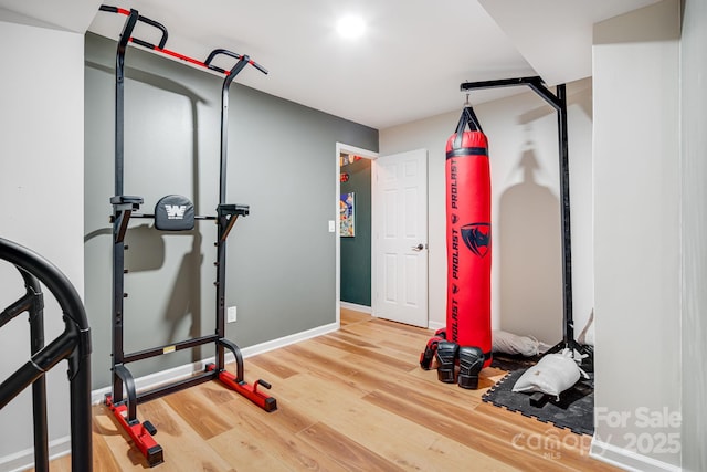 workout room featuring hardwood / wood-style floors