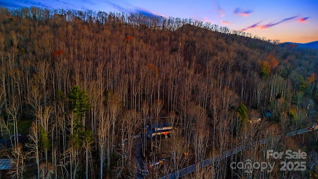 property view of mountains