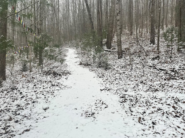 view of snow covered land