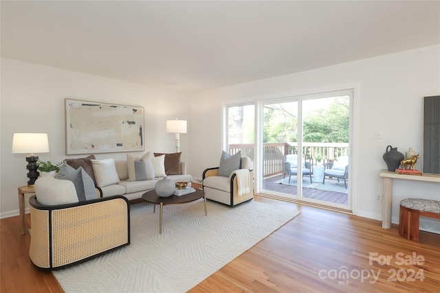 living room featuring wood-type flooring