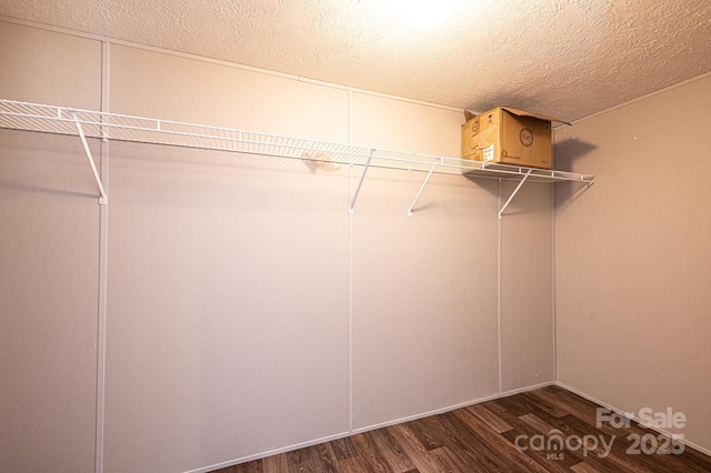 spacious closet with dark wood-type flooring