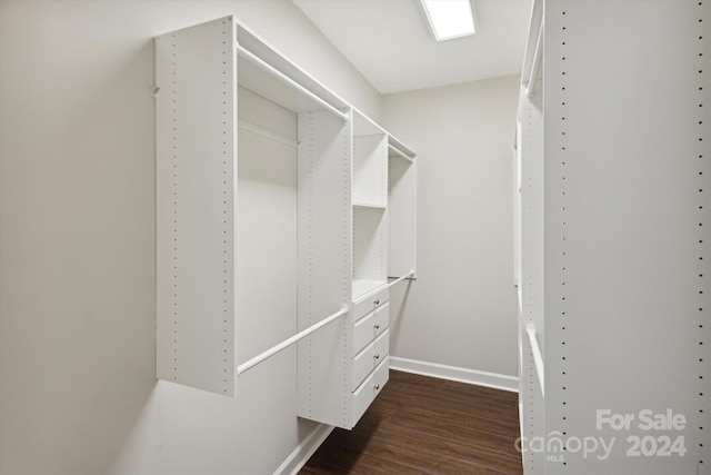 walk in closet featuring dark hardwood / wood-style flooring